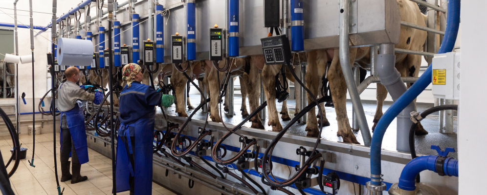 We have Lockout Tagout Solutions for