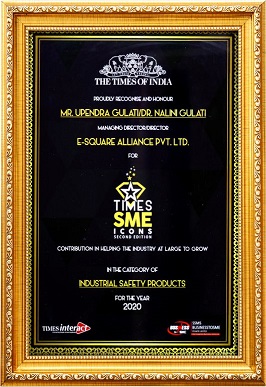 E-Square's Legacy of Success: Recognized as National SME Icon by Times of India