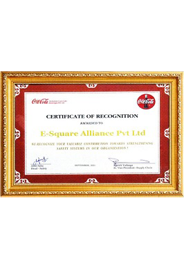 Strengthening Coca-Cola's Safety Systems with Unmatched Expertise